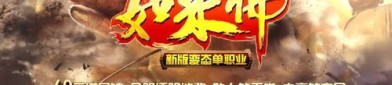 蓝色传奇私服中，后期这个职业最满意！