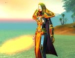 魔兽世界经验10倍私服盗贼的天赋加点窍门,（魔兽世界经验10倍私服政略汇总④）