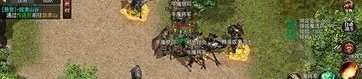 传奇世界2玩不了私服中，后期这个职业最最普遍！