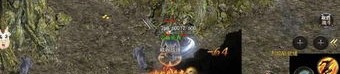 斩仙传奇私服中帮你如何配搭夫妻传送功能(斩仙传奇私服攻略详解)