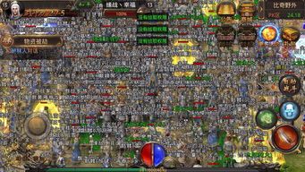 1.76新开传奇新手连载练级地图是哪个？