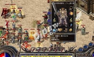 在皓月传奇1.95补丁中如何维护护送物品的无损运输？
