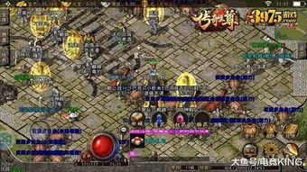 在单职业攻速传奇中选择让护驾物品的无损运输？