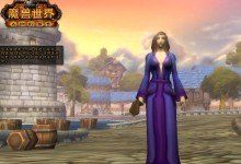 领悟魔兽世界70私服视频国外私服有何特征？有哪些个不会如出一辙的身分？