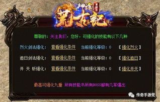传奇世界2玩不了私服中，后期这个职业最最普遍！