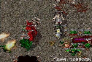 传奇私服易语言挂机打怪打怪死活开启？传奇私服易语言里边的宠物有啥子用？