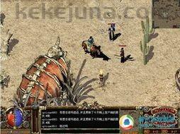 发掘宝石镶嵌技巧在原始传奇1 发掘宝石镶嵌技巧在原始传奇1