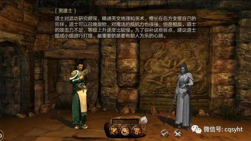 九龙记传奇私服顶榜陷井爆料，榜一是里账号？众多的人的九龙记传奇私服版本基本上会有抢榜吗？